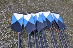 Case Blades